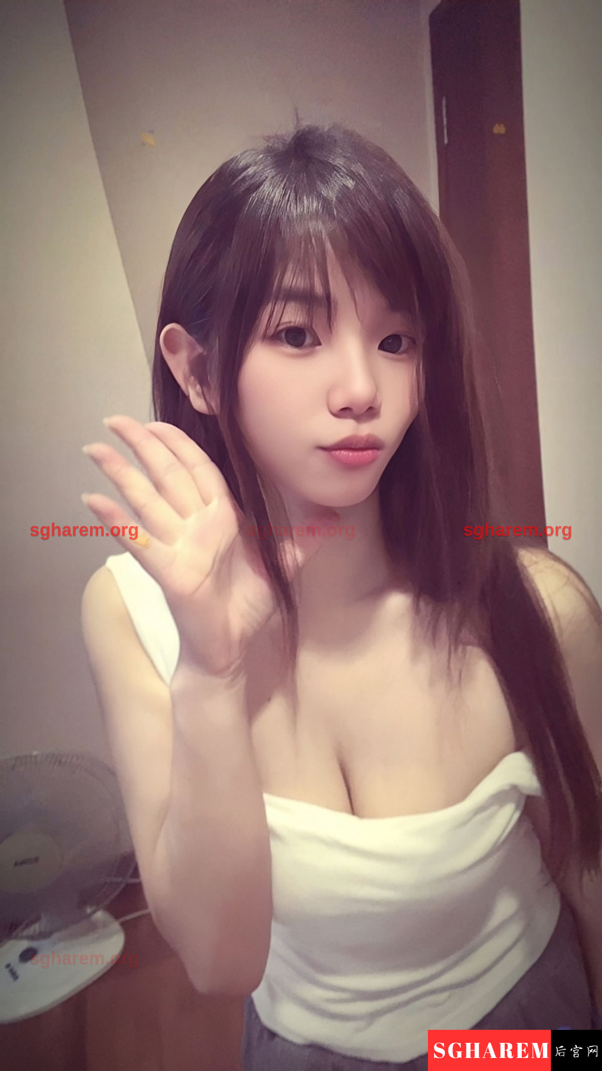ZiXin-子心 【2670】 Head Image