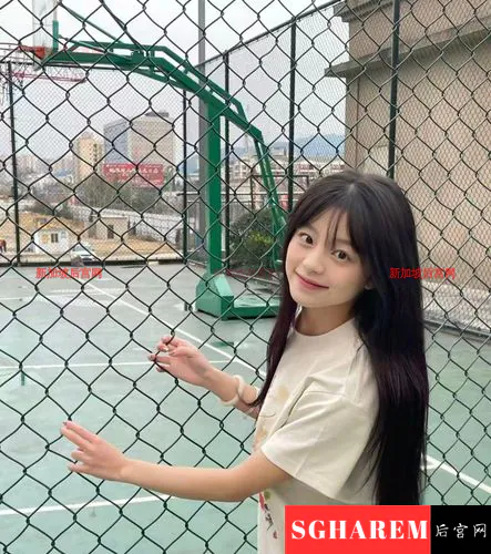 MeiYao-美尧 【3812】 Profile Thumbnail Image