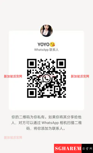 Yoyo 【3902】 Profile Thumbnail Image