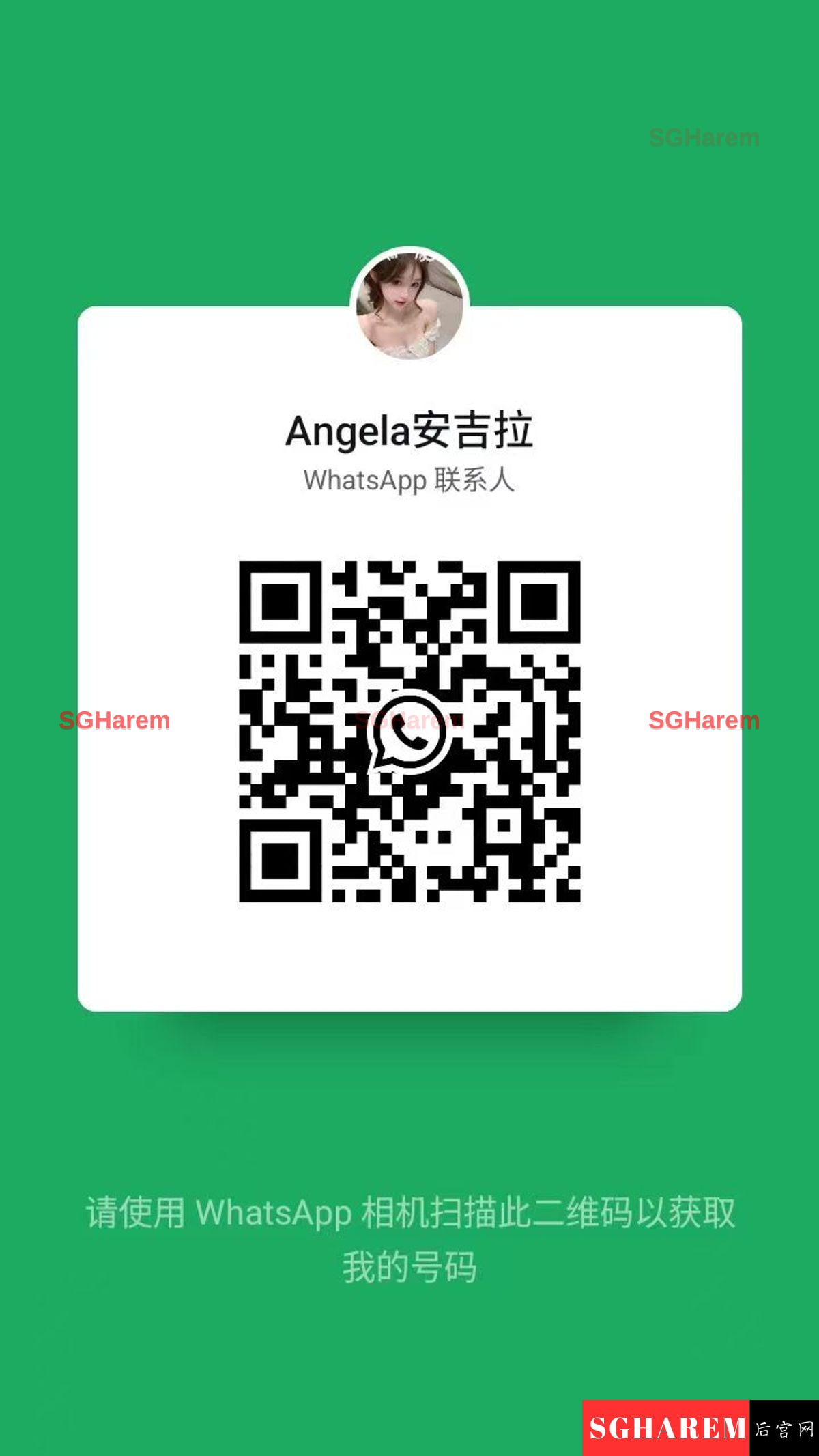 Angela-安吉拉 【3926】 Big Image