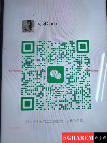 Coco 【3994】