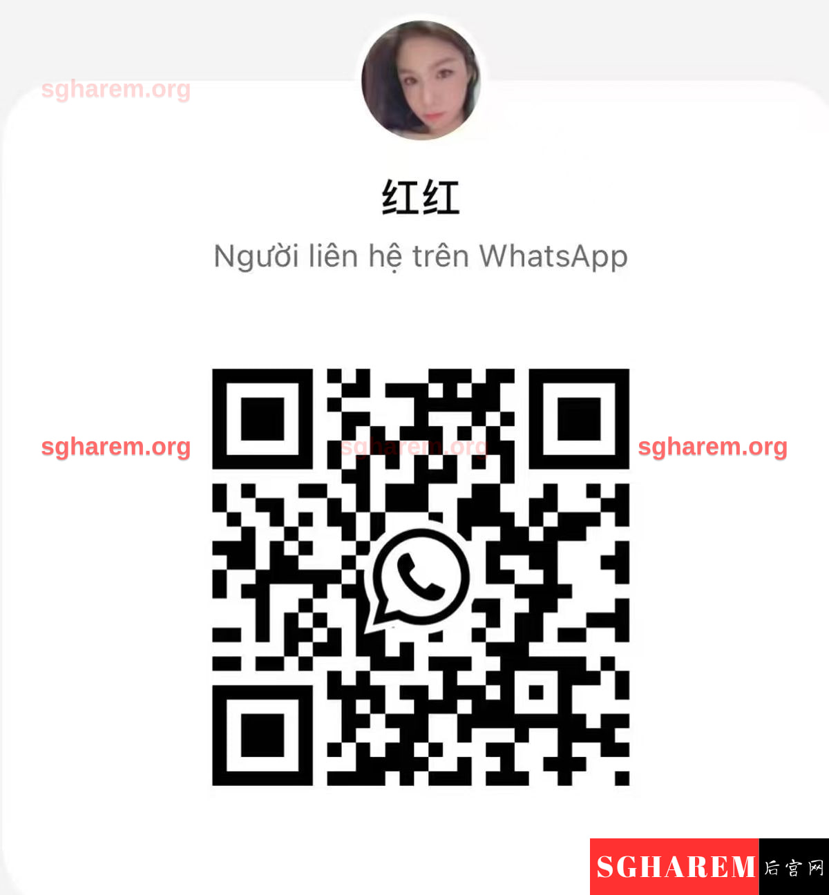 HongHong-红红 【4113】 Big Image