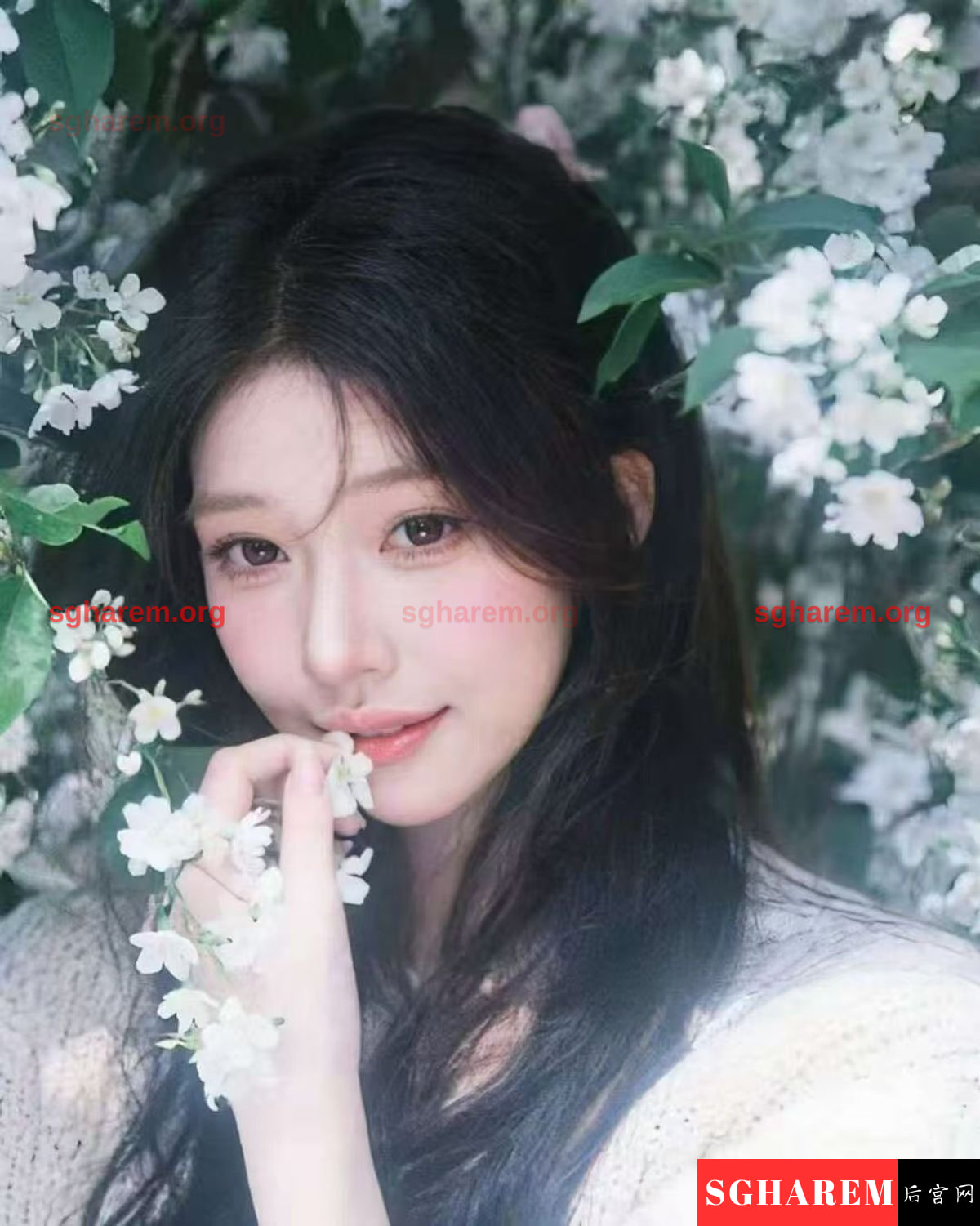YueYue-悦悦 【4116】 Big Image
